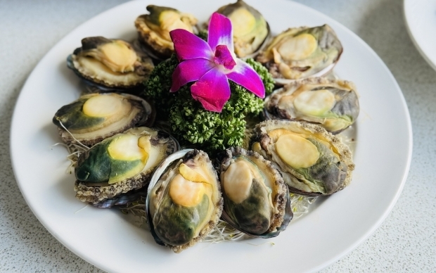 2026 寵愛媽咪(櫻桃鴨四重奏)