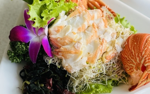 2026 寵愛媽咪(櫻桃鴨四重奏)